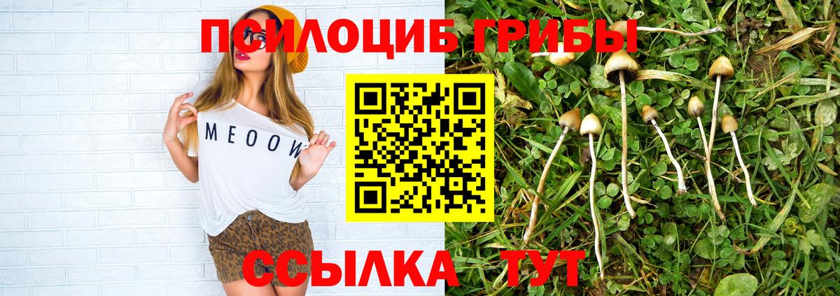 Псилоцибиновые грибы ЛСД Богданович