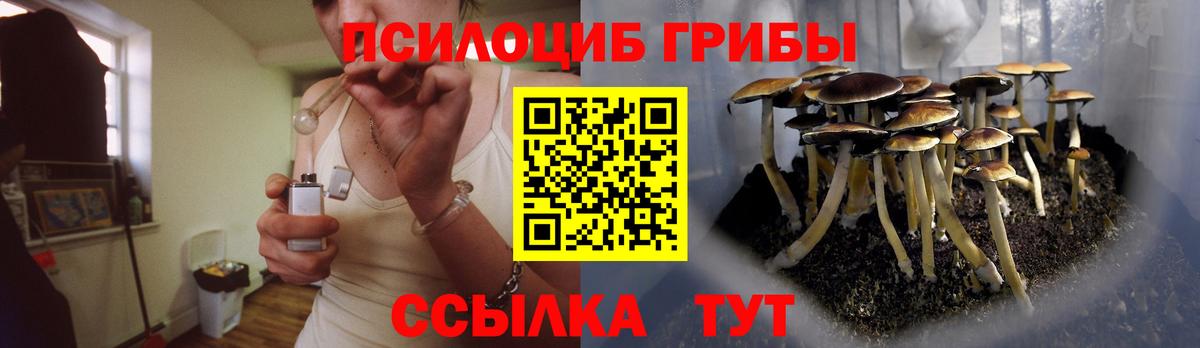 Псилоцибиновые грибы Cubensis  купить  сайты  Богданович  Вход с VPN  Псилоцибиновые грибы прущие грибы 